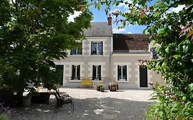 Les Hirondelles Du Moulin